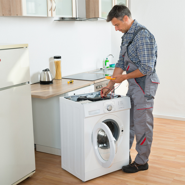 how much should i expect to pay for washer repair services in Swan Lake